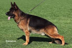 Usher aus der Brunnenstraße